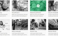 AIT Spa v2.0.6 WordPress Theme