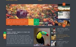 MyThemeShop Monospace WordPress Theme v1.2.3