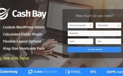 Cash Bay v1.1.6 Loan & Credit Money WP Theme