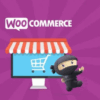 WooCommerce PayPal Advanced v1.24.12