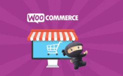 WooCommerce PayPal Advanced v1.24.12