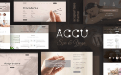 Accu (v3.7) Healthcare, Massage WordPress Theme