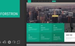 Forstron (v2.1.7) Legal Business WordPress Theme