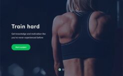 Fitness by MyThemeShop v1.0.11
