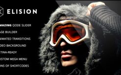 Elision v4.6 Retina Multi-Purpose WordPress Theme