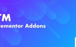 TM Elementor Addons v3.7