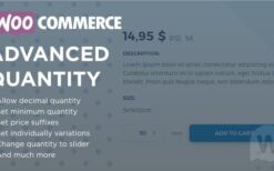 WooCommerce Advanced Quantity v3.0.6