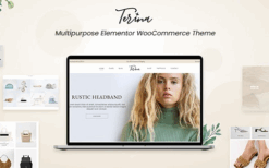 Terina (v1.6.1) Multipurpose Elementor WooCommerce Theme