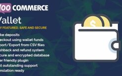WooCommerce Wallet v3.1.0
