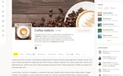 BuddyPress Group Tabs Creator Pro v.1.3.2