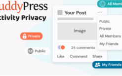BuddyPress Activity Privacy v1.0.8
