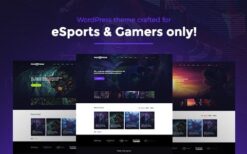 PixieFreak (v1.1.4) eSports gaming theme for teams & tournaments