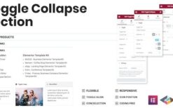 Toggle Collapse Section Elementor Addon v1.0.6
