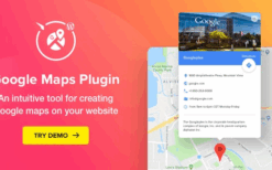 Elfsight Google Maps v2.4.2