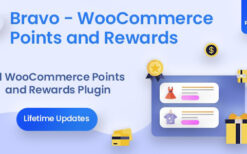 Bravo (v2.5.8) WooCommerce Points and Rewards