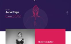 CSSIgniter Vigour v1.1.1 WordPress Themes