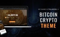 Tolarcek v1.4 A Bitcoin & CryptoCurrency WordPress Blog Theme
