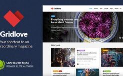 Gridlove (v2.1.2) Creative Grid Style News & Magazine WordPress Theme