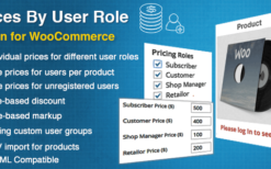 Prices By User Role for WooCommerce v5.2.1.1