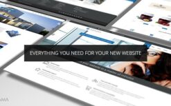 Adama (v1.7.1) Responsive Multi-Purpose WordPress Theme