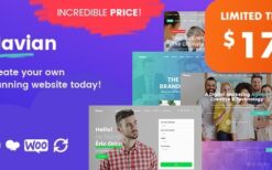 Navian (v1.5.4) Multi-Purpose Responsive WordPress Theme