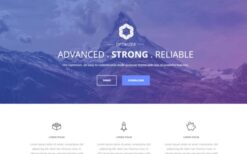 Optimizer PRO WordPress Theme v0.8.0
