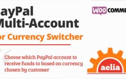 Aelia Woocommerce Paypal Standard (Multi Account) v1.5.25.250918