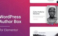 WordPress Author Box for Elementor v1.0.3