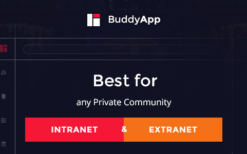 BuddyApp (v1.9.2) Mobile First Community WordPress theme GPL