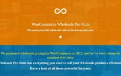 WooCommerce Wholesale Pricing Pro Suite Plugin v4.0.20