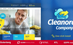 Cleanora (v1.1.8) Cleaning Services Theme