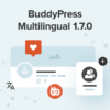 WPML BuddyPress Multilingual (v1.9.1)