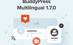 WPML BuddyPress Multilingual (v1.9.1)