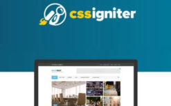 CSS Igniter Convert Business Theme v1.5.3