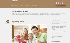 Themify Minblr WordPress Theme v7.0.2 #