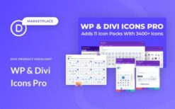WP and Divi Icons Pro v2.0.9