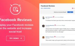 Elfsight Facebook Reviews v1.2.5 WordPress Facebook Reviews plugin
