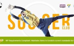 SoccerClub (v2.1.0) Football Team & Soccer League WordPress Theme