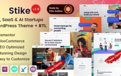 Stike v2.9 – IT Startups WordPress Theme