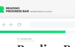ReBar v2.1.0 – Reading Progress Bar for WordPress Website**