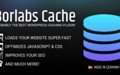 Borlabs Cache (v1.6.3) WordPress Caching Plugin