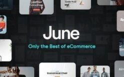 June (v2.3) WooCommerce WordPress Theme