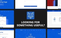 Minfox v1.5.4 – Onepage Business WordPress Theme