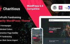Charitious (v3.4) NonProfit Fundraising Charity WordPress Theme