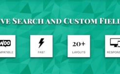 Live Search and Custom Fields (v2.7.2) WordPress Filter, search & WooCommerce Product Filter