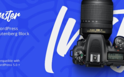 Inster (v1.1.2) Instagram Block for WordPress Gutenberg Editor