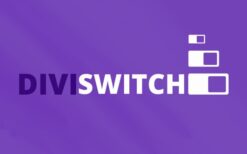 Divi Switch Pro v4.0.19