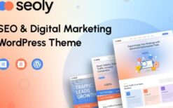 Seoly v1.0.1 SEO & Digital Marketing WordPress Theme