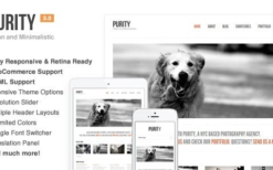 Purity (v4.5.1) Responsive, Minimal & Bold WP Theme