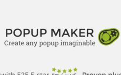 Popup Maker v1.21.5 & Addons